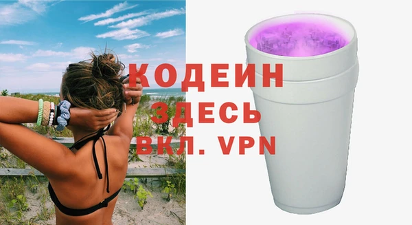 твердый Краснослободск
