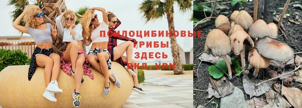 а пвп мука Корсаков