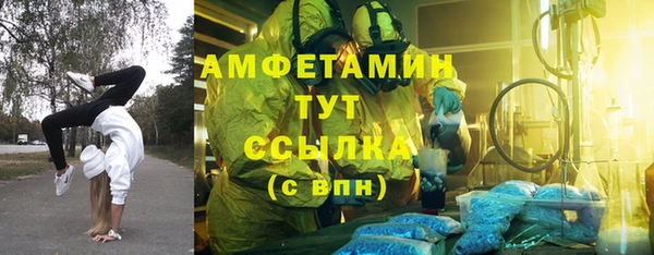 гидра Ессентукская