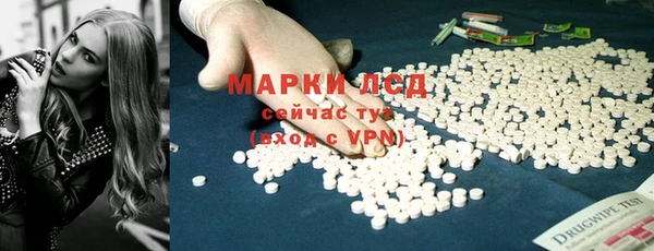 PSILOCYBIN Коряжма