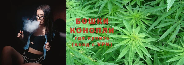 PSILOCYBIN Коряжма