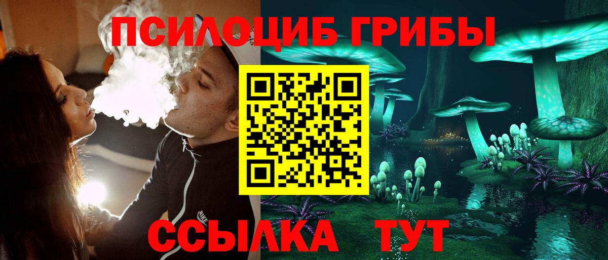 наркошоп  Вход с VPN  Тула  Псилоцибиновые грибы Magic Shrooms 