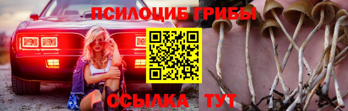 Каннабис  Гашиш  Лсд 25  Вход с VPN  Меф МЯУ МЯУ   Тула  A PVP СК кристаллы  Гашиш 