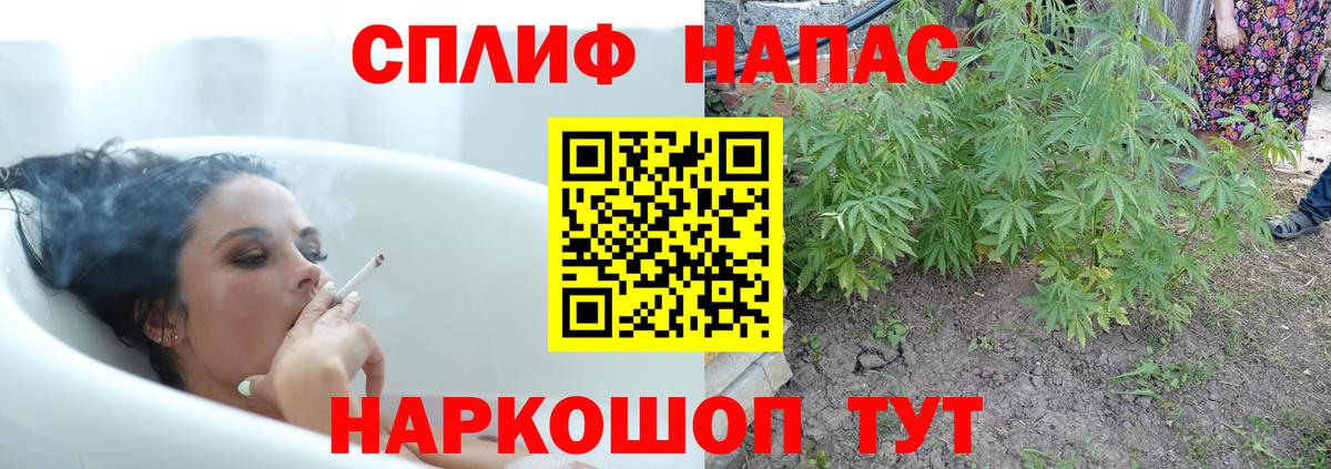 Бошки марихуана Ganja  Бошки марихуана White Widow  Тула  Вход с VPN  Конопля индика  Шишки марихуана конопля 
